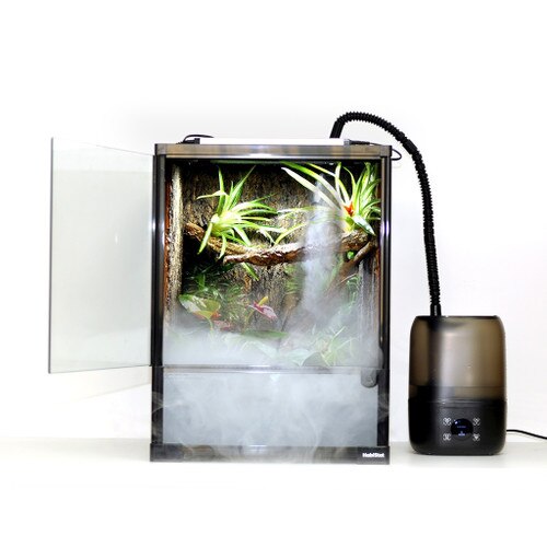 Glass Terrarium with Humidifier